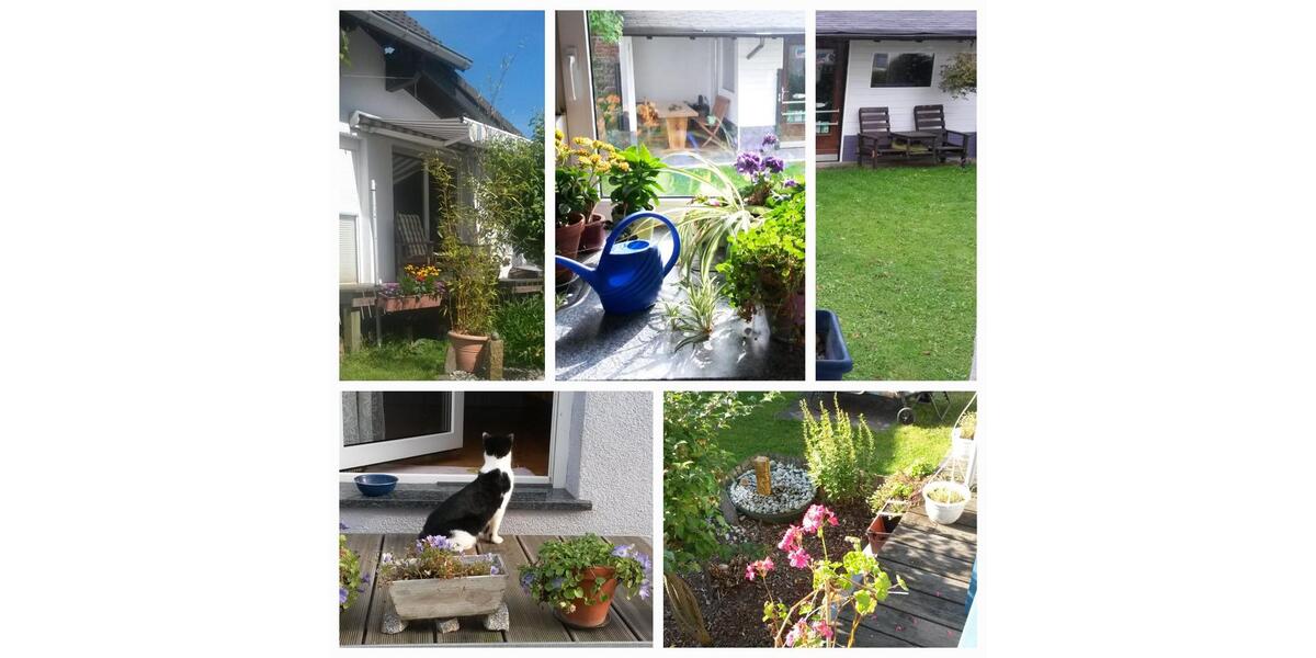 Einfamilienhaus Nentershausen - 6 Zimmer, 220 m&sup2;, 1.400&euro; | Angebot:25420627