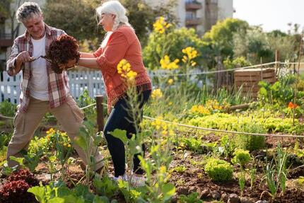 Grundstück München Ramersdorf-Perlach - 50&euro; | Angebot:25298090
