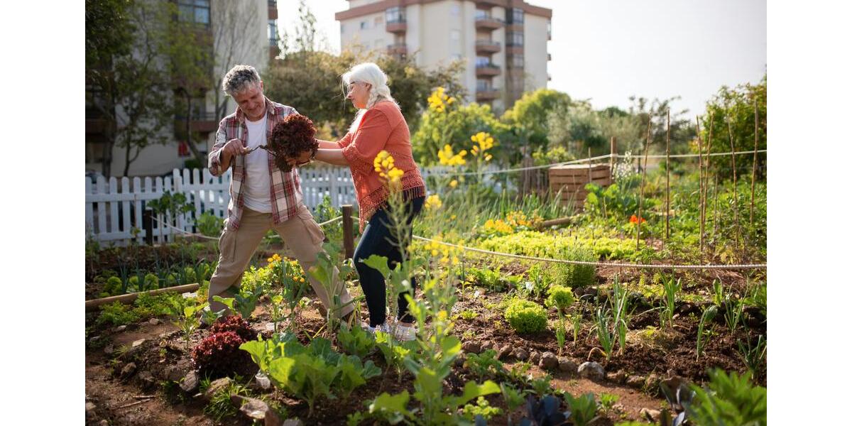 Grundstück München Ramersdorf-Perlach - 50&euro; | Angebot:25298090