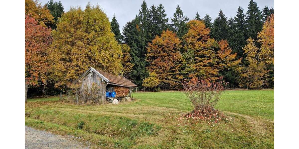 Einfamilienhaus Kirchberg im Wald / Raindorf Kirchberg - 1 Zimmer, 300 m&sup2;, 698.500&euro; | Angebot:25796770
