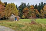 Einfamilienhaus Kirchberg im Wald / Raindorf Kirchberg - 1 Zimmer, 300 m&sup2;, 698.500&euro; | Angebot:25796770
