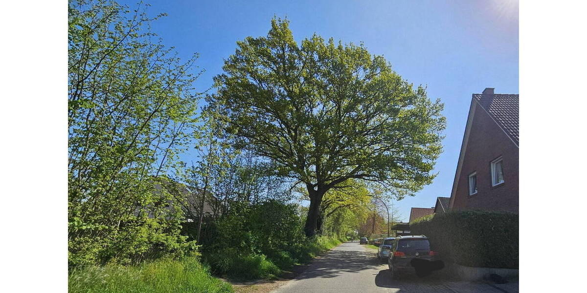 Mehrfamilienhaus, Wohnhaus Elmshorn - 1 Zimmer, 260 m&sup2;, 940.000&euro; | Angebot:26389258