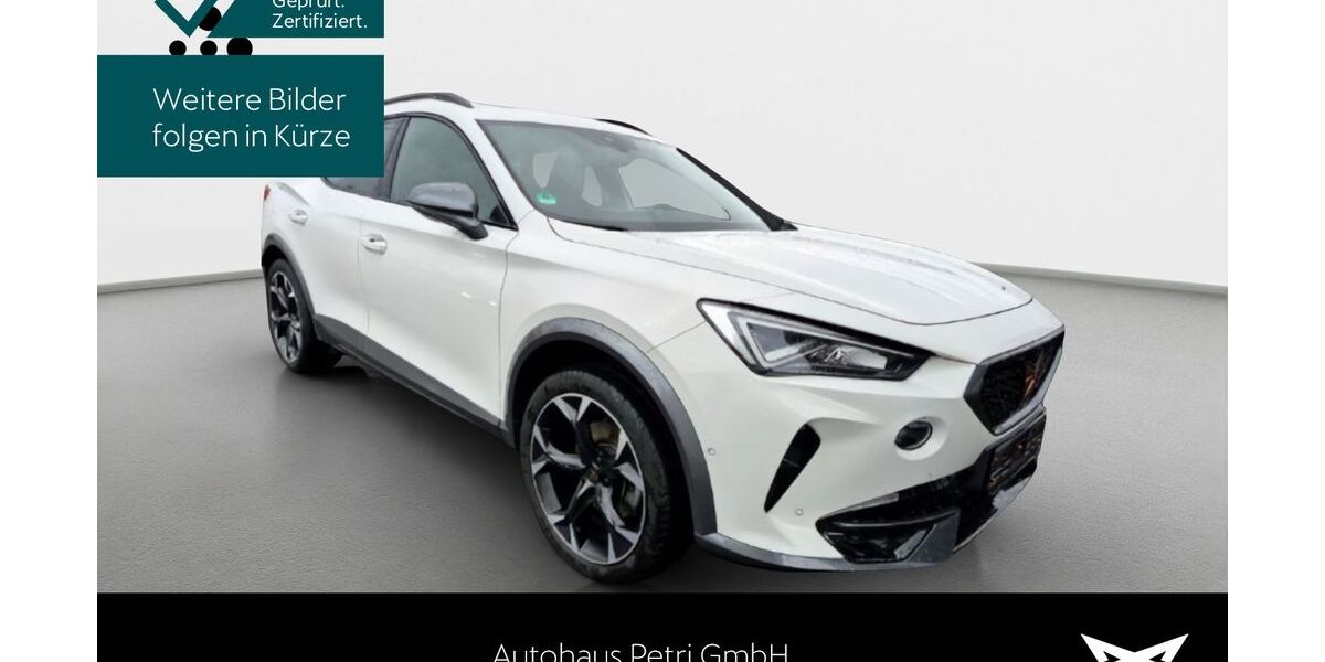 Cupra Formentor 57.894 km 23.730 &euro; Hofheim-Diedenbergen 65719