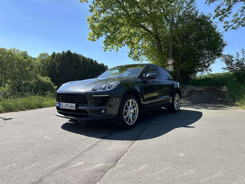 Macan