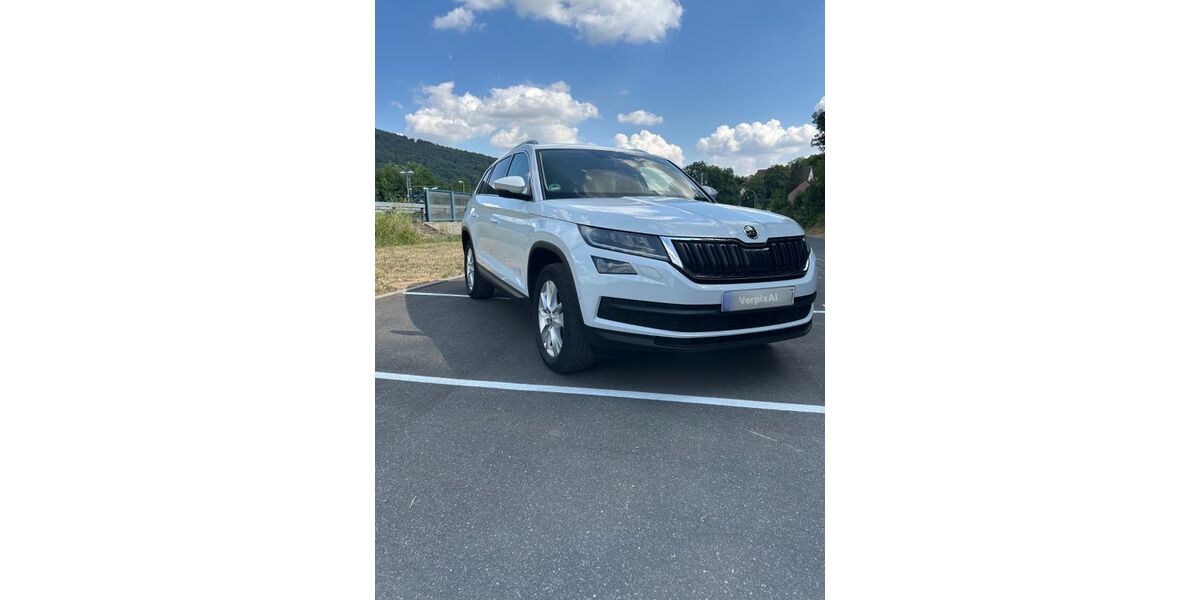 Skoda Kodiaq 125.250 km 18.999 &euro; Rieneck 97794