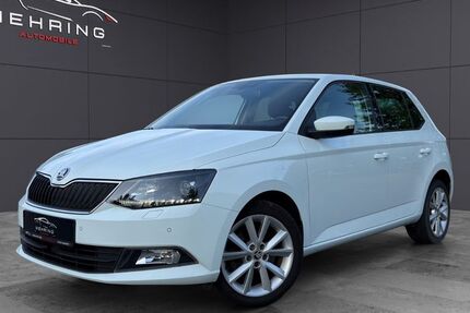 Skoda Fabia 120.000 km 11.480 &euro; Mehring 54346