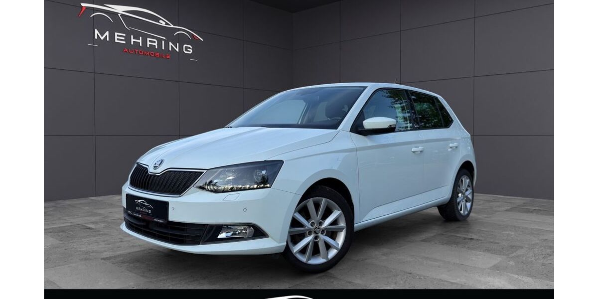 Skoda Fabia 120.000 km 11.480 &euro; Mehring 54346