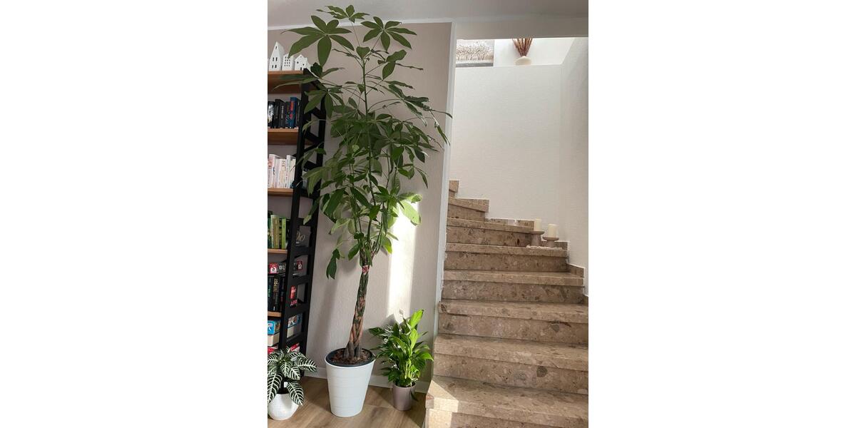 Einfamilienhaus Homberg (Efze) - 5 Zimmer, 120 m&sup2;, 279.000&euro; | Angebot:26588389