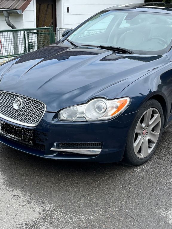 XF