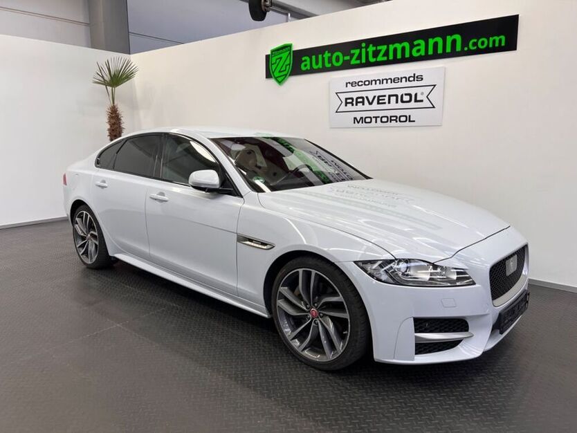 XF