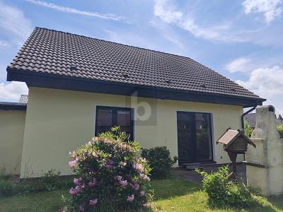 WOHNEN IM GRÜNEN - FREIRAUM FÜR DIE GANZE FAMILIE - Einfamilienhaus Grimma | Angebot:27102077