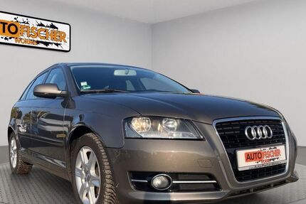 Audi A3 263.405 km 4.950 € Worms 67547