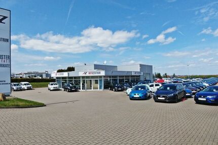 Skoda Octavia 86.726 km 19.990 € Hettstedt OT Walbeck 06333