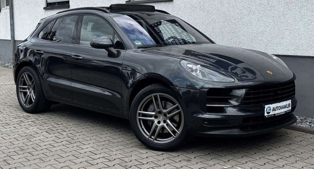 Macan