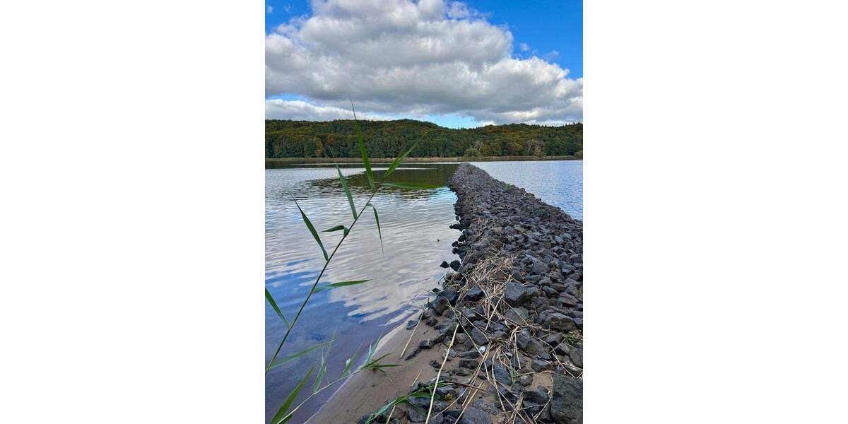 Traumhafte Haushälfte an der Elbe von Privat* Neubau* 4 zimmer