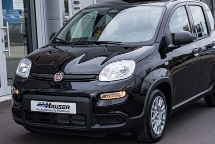 Fiat Panda 8.000 km 13.675 &euro; Pohlheim 35415
