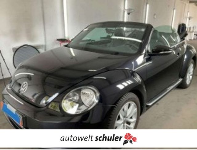 Beetle