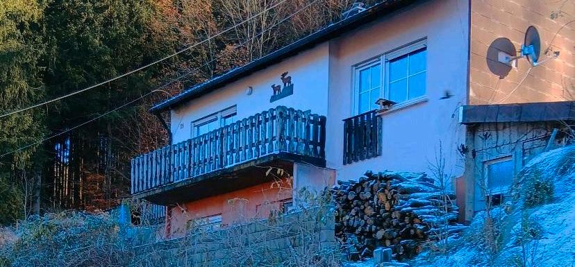 1 Einfamilienhaus 4 zimmer