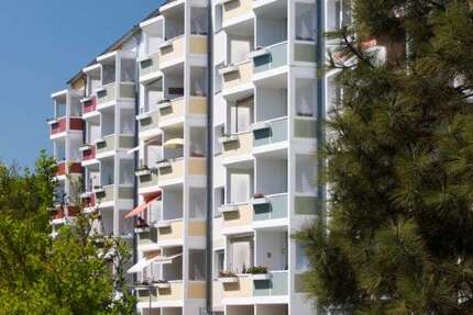 Wohnung zum Mieten in Görlitz 261,56 € 49.35 m² 2 zimmer