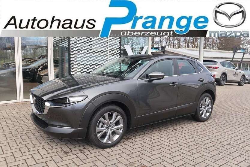 CX-30