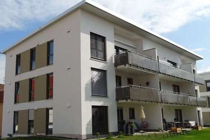 Wohnung zum Mieten in Steinheim 600 € 55 m² 2 zimmer