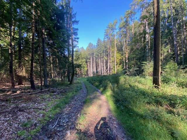 Grundstück in Pentling Matting 132.000 € 15433 m² zimmer