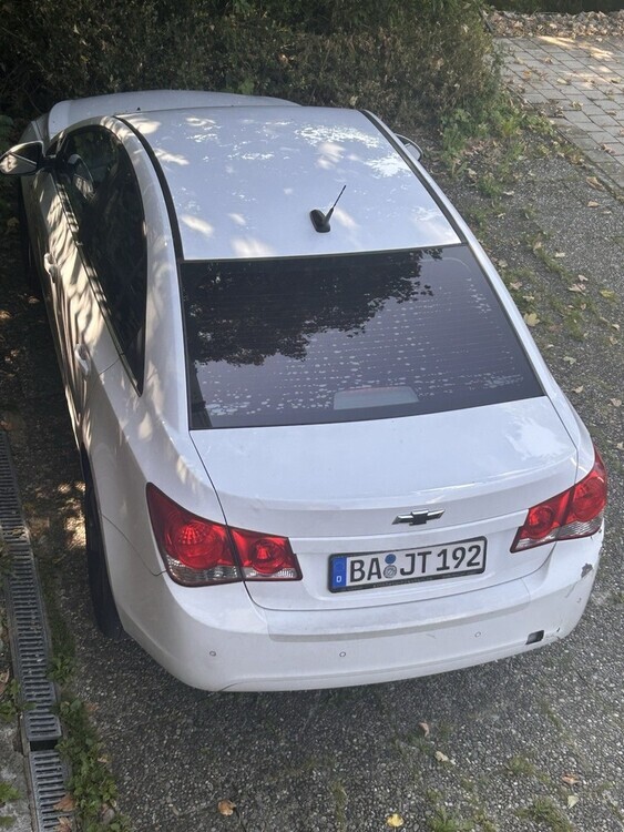 Cruze
