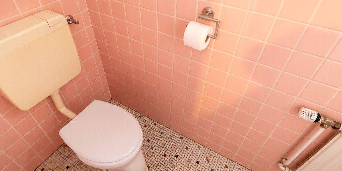 Mehrfamilienhaus, Wohnhaus Delmenhorst Iprump/Varrelgraben - 7 Zimmer, 286 m&sup2;, 333.000&euro; | Angebot:23960321