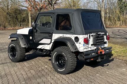 Jeep Wrangler 168.000 km 22.000 &euro; Zell 67308