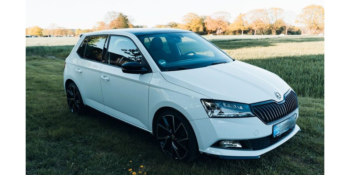 Skoda Fabia 91.000 km 14.499 &euro; Syke 28857