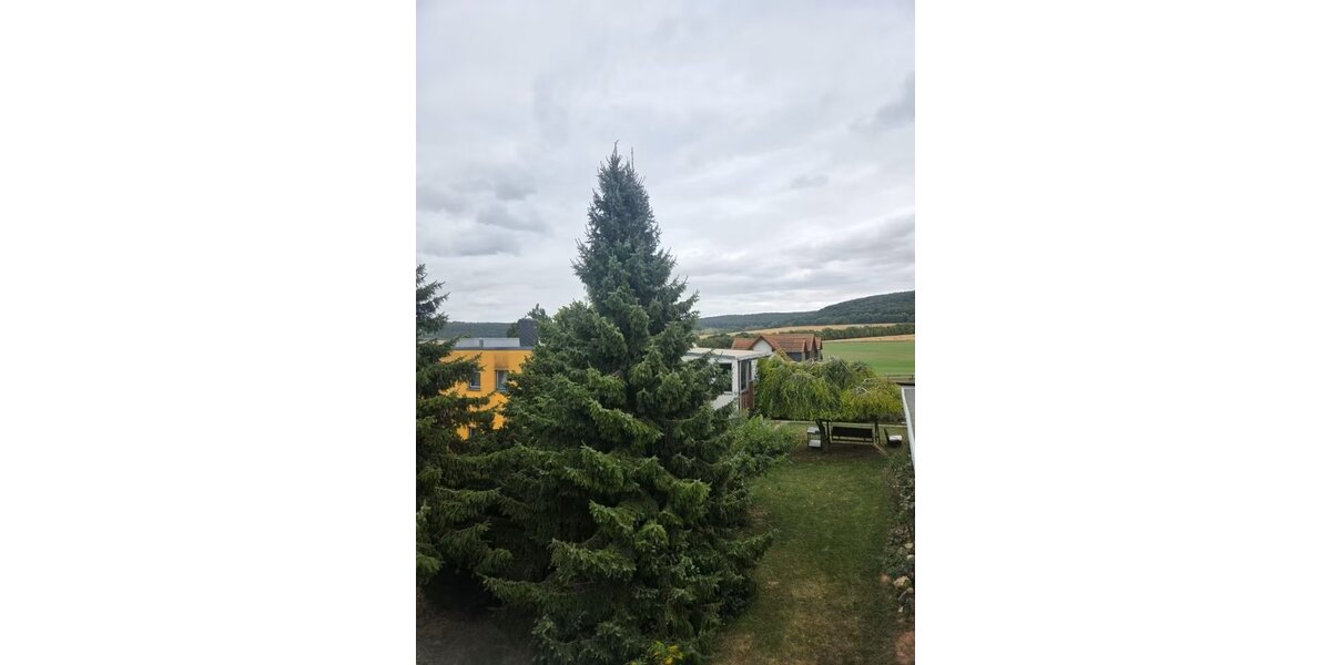 Sondershausen-OT, MFH + Gewerbe - Mehrfamilienhaus, Wohnhaus Sondershausen Berka | Angebot:22943579