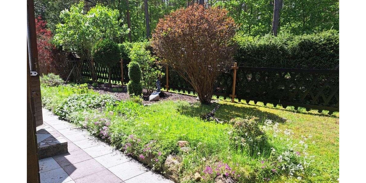 Sommer 2026 im eigenen Freizeitbungalow in ruhiger, idyllischer Waldlage von Coswig Möllensdorf - Ferienhaus Coswig (Anhalt) | Angebot:27016614