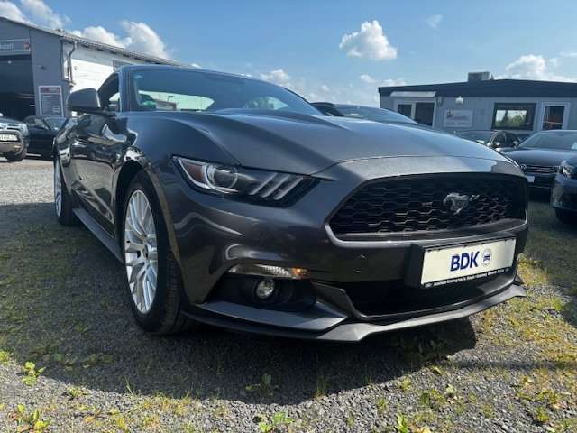 Mustang