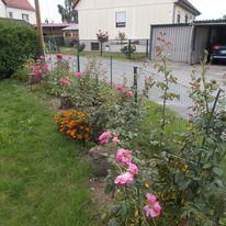 Einfamilienhaus Gröditz - 6 Zimmer, 120 m&sup2;, 85.000&euro; | Angebot:27121056