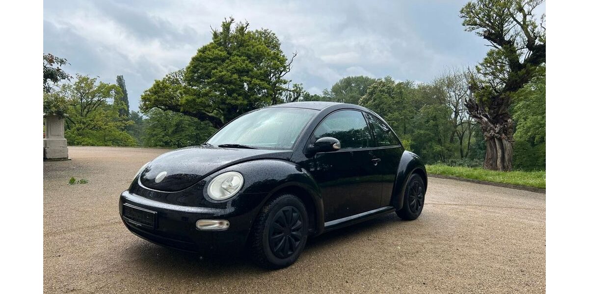 VW Beetle 165.000 km 1.590 &euro; Braunschweig 38122