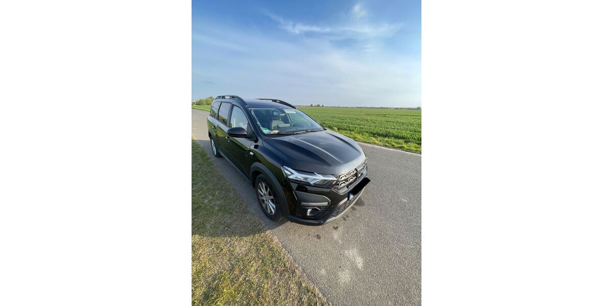Dacia Jogger 101.000 km 18.000 &euro; Demmin 17109