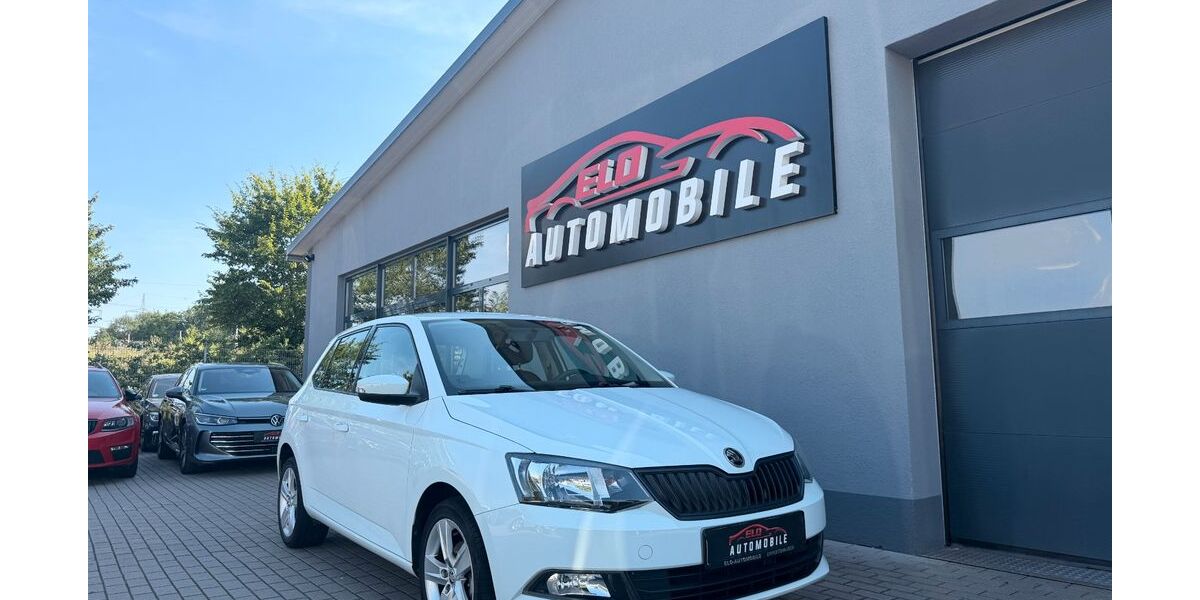 Skoda Fabia 59.412 km 9.900 &euro; Eppertshausen 64859