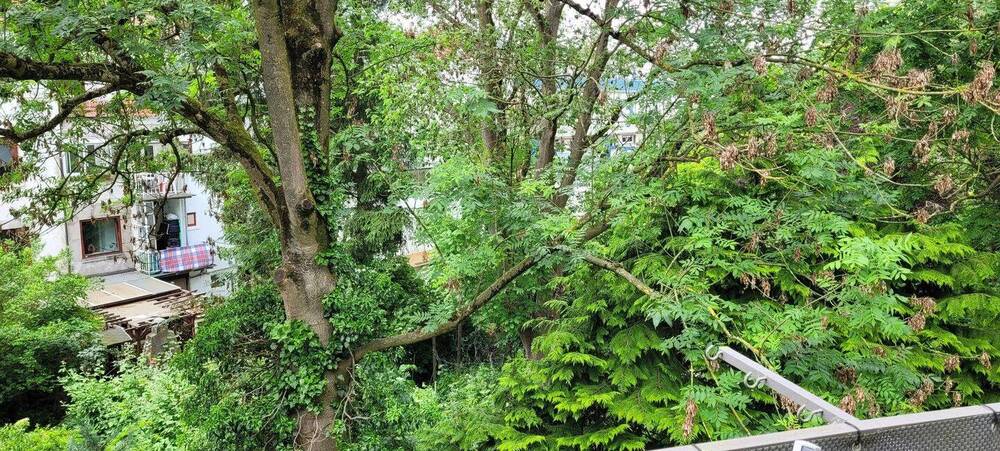 Etagenwohnung Bremen Huckelriede - 2 Zimmer, 58 m&sup2;, 630&euro; | Angebot:26851625
