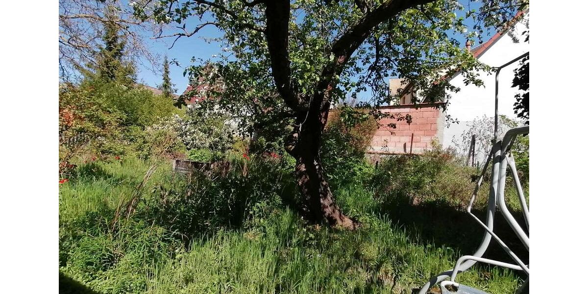 Einfamilienhaus Kölleda - 2 Zimmer, 45 m&sup2;, 35.000&euro; | Angebot:26441709