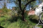 Einfamilienhaus Kölleda - 2 Zimmer, 45 m&sup2;, 35.000&euro; | Angebot:26441709