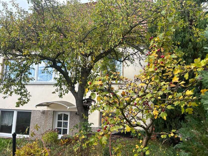 Haus zum Kaufen in Erfurt 398.000 € 105 m² 6 zimmer