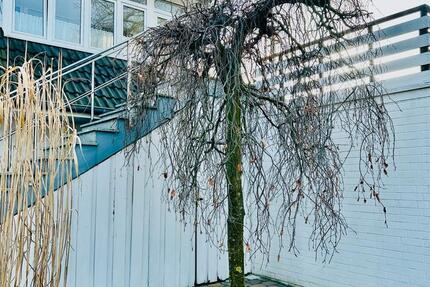 Wohnung Isernhagen - 3 Zimmer, 87 m&sup2;, 1.100&euro; | Angebot:25407751