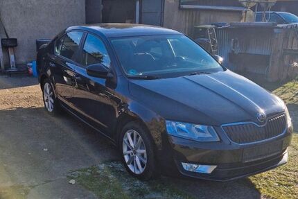 Skoda Octavia 175.000 km 9.000 &euro; Malchow 17213