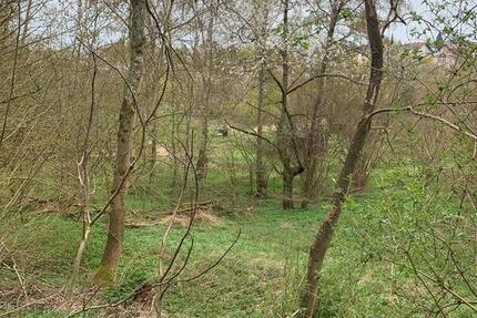 Grundstück Runkel - 30.000&euro; | Angebot:26133688