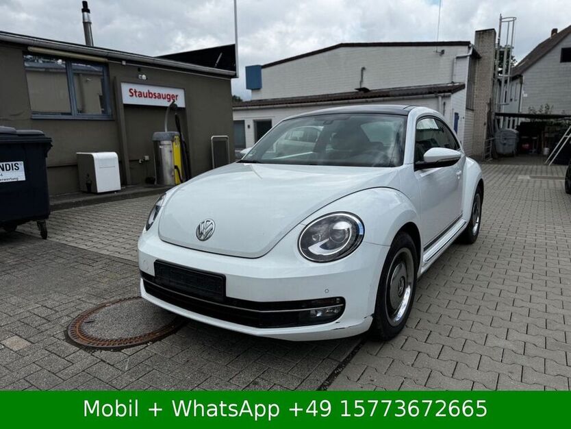 Beetle