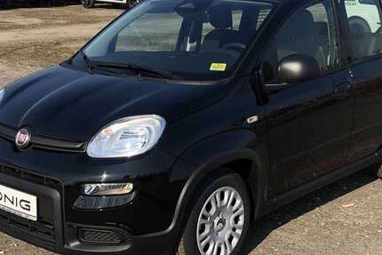 Fiat Panda 2.100 km 12.688 &euro; Berlin 13599