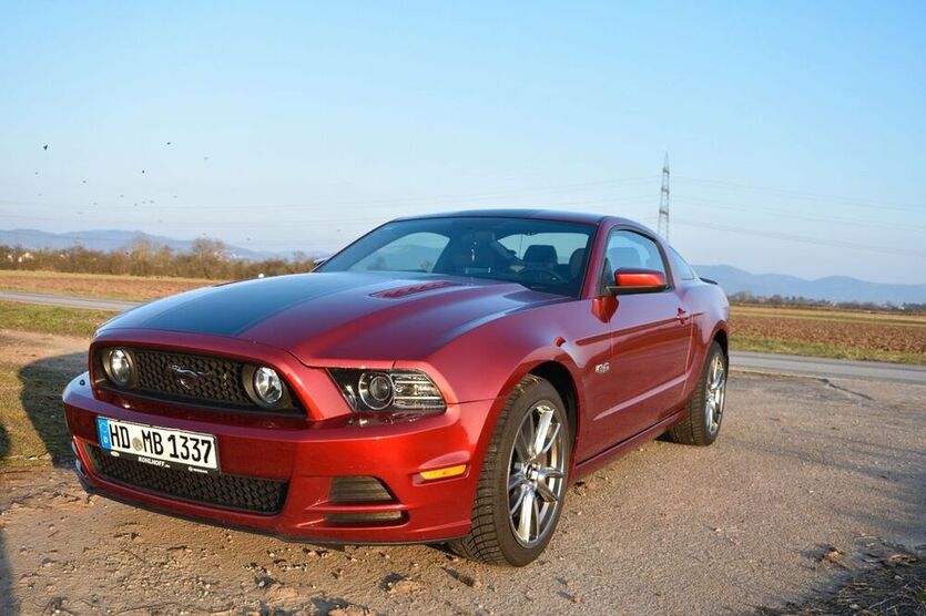 Mustang