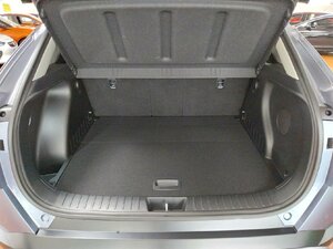 Hyundai Kona Prime 2WD AHK Bose SHZ LHZ Navi Kam 12.578 km 25.970 &euro; HAAN 42781