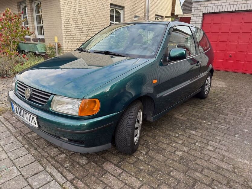 Polo