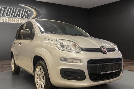 Fiat Panda 34.800 km 8.999 &euro; Lindenberg 88161